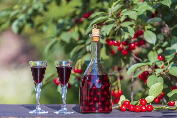 Homemade Cherry Brandy Glasses Glass Bottle Wooden Table Summer Garden — 스톡 사진