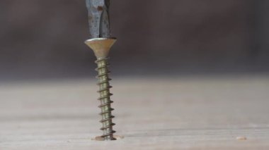 Electric screwdriver screwing a golden screw into a wooden board, macro, closeup