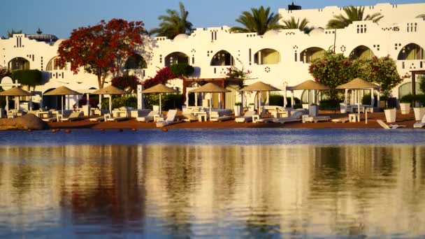 サンラウンジャー パラソル ヤシの木は エジプト アフリカのシャーム シェイクのリゾートタウンで午前中にビーチの穏やかな紅海の水に反映されています 隔離中の空のビーチ — ストック動画
