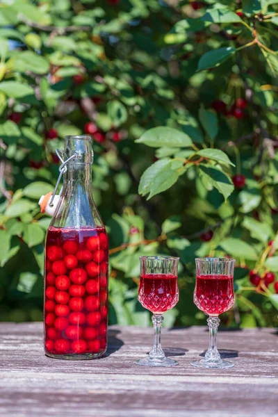 Házi Készítésű Cseresznye Brandy Szemüvegben Üvegben Egy Fából Készült Asztalon — Stock Fotó