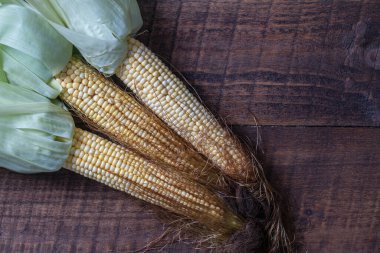 Raw sweet corn on brown wooden table. Top view, close up, copy space . Healthy food concept