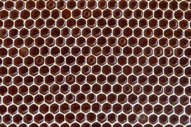 Ballı bal peteğinin yakın çekimi. Balmumu kovanının bal dolu bir bölümünün arkaplan dokusu ve deseni