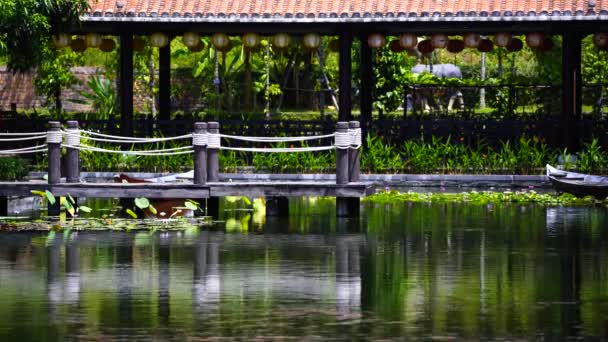 Muelle Madera Estanque Jardín Tropical Danang Vietnam Concepto Viaje Naturaleza — Vídeo de stock