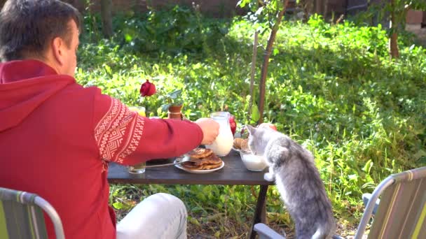 남자와 고양이의 정원의 식탁에 유리그릇에서 우유를 마시는 귀여운 고양이 — 비디오
