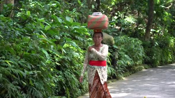 Ubud Bali Indonésie Avril 2019 Femmes Indonésiennes Non Identifiées Temple — Video