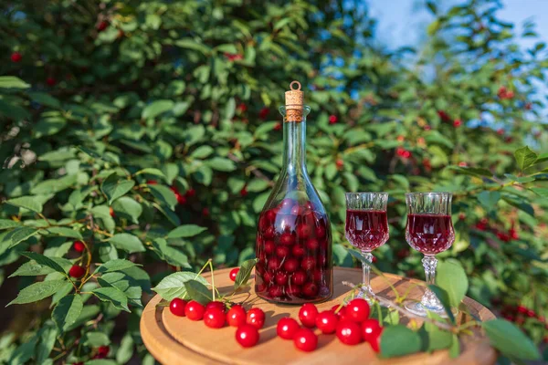 Homemade Cherry Brandy Two Glasses Glass Bottle Wooden Table Summer — 스톡 사진