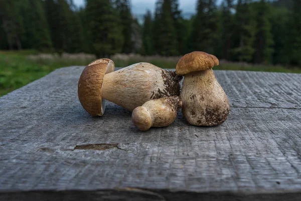 Three white mushrooms or porcini on a wooden table in the yard in a mountain village, in the Carpathians, Ukraine, close up