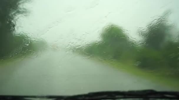 Krople Deszczu Przednią Szybę Wycieraczki Usuwają Wodę Jazda Widoku Deszczu — Wideo stockowe