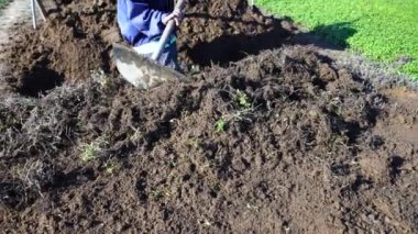 Close up dirty feet and hoe of an old Vietnamese woman working in a garden in a vegetarian village near Hoi An, Vietnam