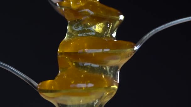 Thick Honey Dripping Three Spoons Black Background Close Honey Flowing — Stockvideo