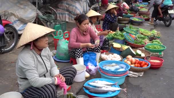 Hoi Vietnam June 2020 Vietnamese Old Women Sell Fresh Vegetables — 图库视频影像