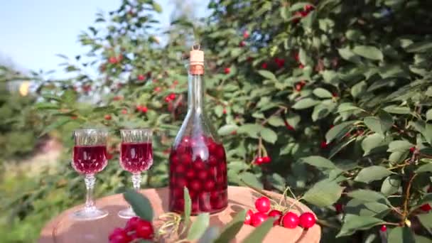 Homemade Cherry Brandy Two Glasses Glass Bottle Wooden Table Summer — ストック動画