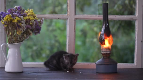 Hungry Kitten Eats Food Windowsill Window Next Burning Kerosene Lamp — Stockvideo