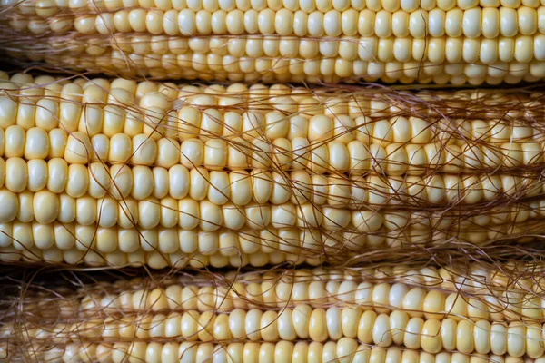 Raw Sweet Corn Top View Close Healthy Food Concept — Zdjęcie stockowe