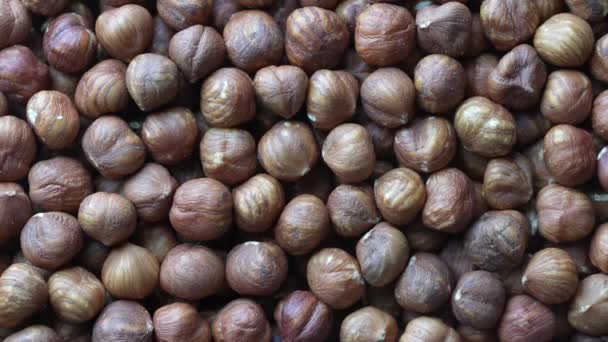 Dry Hazelnuts Background Heap Peeled Hazelnuts Kernels Rotating Top View — Vídeo de Stock