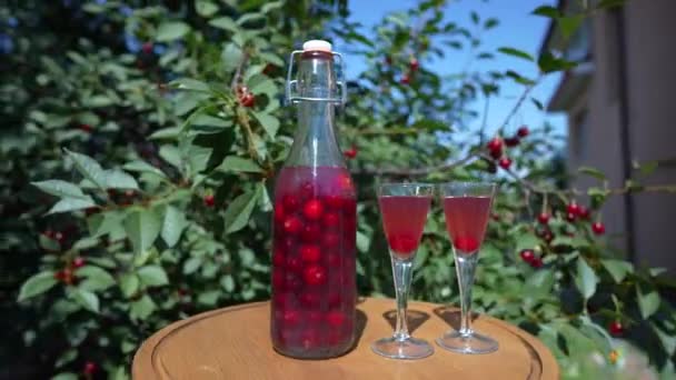 Házi Készítésű Cseresznye Brandy Két Pohárban Egy Üvegben Egy Fából — Stock videók
