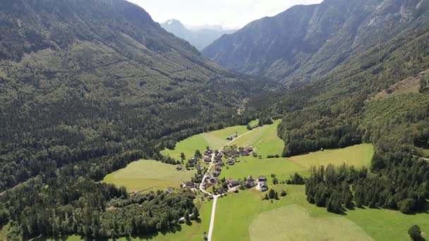 山の中で村 緑のフィールドと森の空中ビューアルプスオーストリア 旅行と自然コンセプト — ストック動画