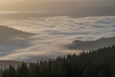 Beautiful landscape of morning foggy of the Carpathian mountains on a sunny day in summer. Morning clouds at sunrise.Landscape of fog and mountains of Western Ukraine, Europe