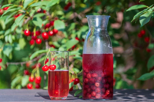 Homemade Cherry Brandy Glass Glass Bottle Wooden Table Summer Garden — Foto de Stock