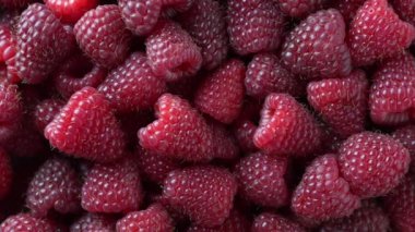 Arka planda taze kırmızı ahududu, yakın plan, üst manzara, döndür. Olgun ahududu dokuları. Gıda ve tarım kavramı