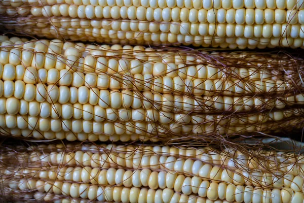 Raw Sweet Corn Top View Close Healthy Food Concept — Zdjęcie stockowe