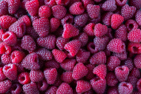 Fresh Red Raspberry Background Close Top View Many Ripe Raspberries — Stok fotoğraf