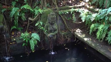 Kutsal maymun ormanındaki su kaynağı Hindu tapınağı. Ubud, Bali Adası, Endonezya. Balili tanrıların heykelleriyle tropik yapay gölet