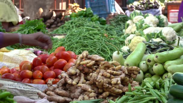 Udaipur India November 2018 Food Trader Selling Vegetables Street Market — Stock Video