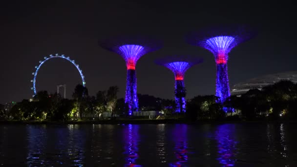 Singapore City Singapore Μαρτίου 2019 Super Trees Gardens Marina Bay — Αρχείο Βίντεο
