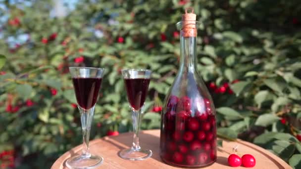 在夏日花园的一张木制桌子上 一只自制的樱桃白兰地酒杯和一个玻璃瓶 关门后旋转着 — 图库视频影像