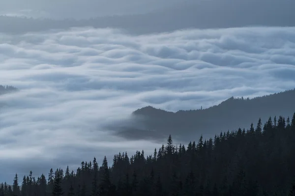 Beautiful Landscape Morning Foggy Carpathian Mountains Sunny Day Summer Morning — Stockfoto