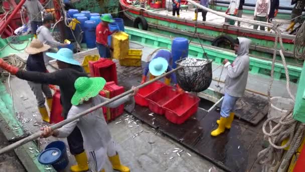 Kota Kinabalu Malaysia February 2020 Malaysian Fishermen Load Freshly Caught — Wideo stockowe