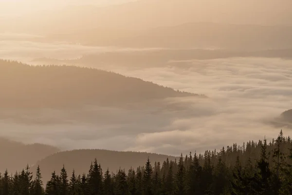 Beautiful Landscape Morning Foggy Carpathian Mountains Sunny Day Summer Morning — 图库照片