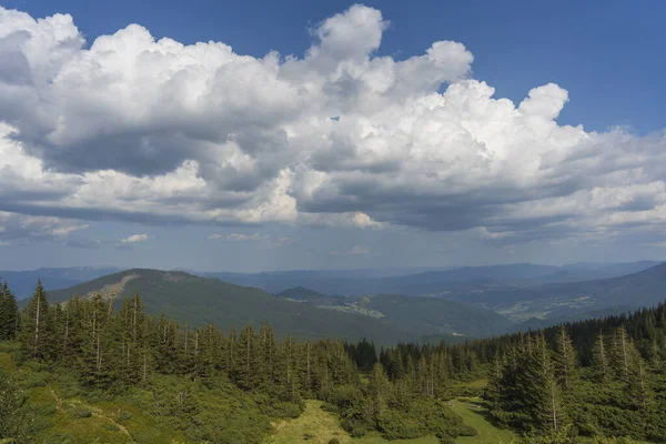 Schöne Hügellandschaft Einem Sonnigen Tag Sommer Malerische Landschaft Den Karpaten — Stockfoto