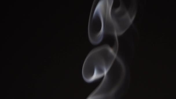 White Smoke Black Background Slow Motion White Steam Spins Rises — стоковое видео