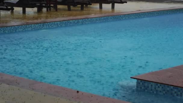 Tropische Zomer Regen Vallen Grote Regendruppels Vallen Het Zwembad Buurt — Stockvideo