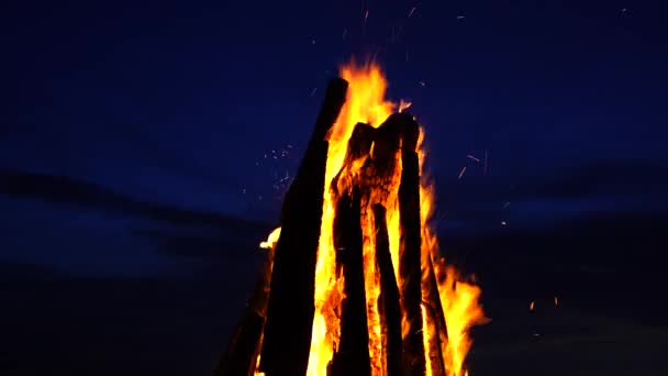 Das Große Feuer Brennt Vor Dem Hintergrund Des Nachthimmels Auf — Stockvideo