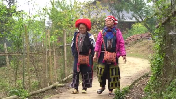Sapa Vietnam Marzo 2020 Due Donne Etniche Hmong Abito Tradizionale — Video Stock