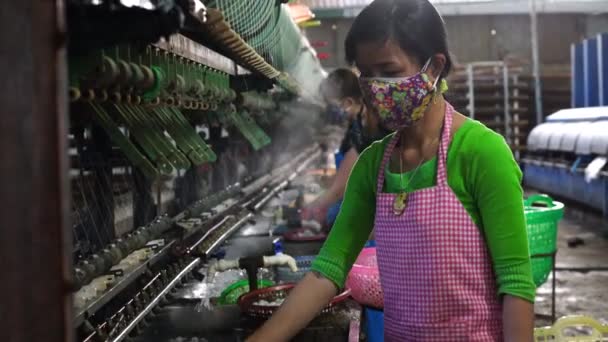Dalat Vietnam March 2020 Silk Farm Clothes Produce Silkworm Insects — Stock video