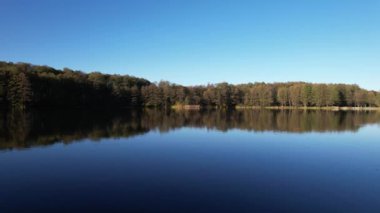Ukrayna, Avrupa 'daki yeşil bir ormanın yakınındaki sakin bir gölün üzerinde uçuyor. Yaz günü göl suyu ve kozalaklı orman manzarası. Seyahat ve doğa kavramı