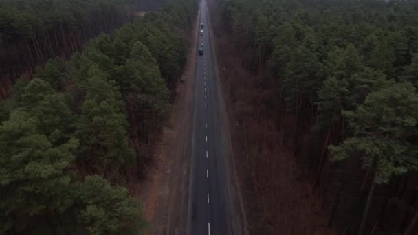Вантажівки Причепом Автомобілі Їздять Лісовій Асфальтовій Прямій Дорозі Вид Зверху — стокове відео
