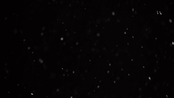 Inverno Neve Che Cade Sfondo Nero Piccoli Fiocchi Neve Che — Video Stock