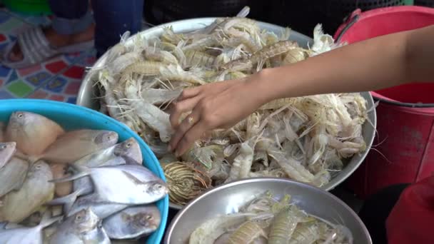 Γυναίκα Παίρνει Φρέσκες Γαρίδες Μια Αγορά Τροφίμων Δρόμο Στην Ταϊλάνδη — Αρχείο Βίντεο