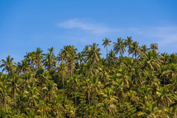 Silhouet Van Groene Kokospalmen Achtergrond Berg Blauwe Lucht Achtergrond Eiland — Stockfoto
