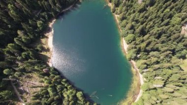 Yoğun kozalaklı ve kayın ormanlarıyla çevrili dağ gölü manzarası. Karadağ, Avrupa. Karadağ 'da ona Zabojsko Jezero diyorlar ve 1481 metre yüksekliğe sahip.
