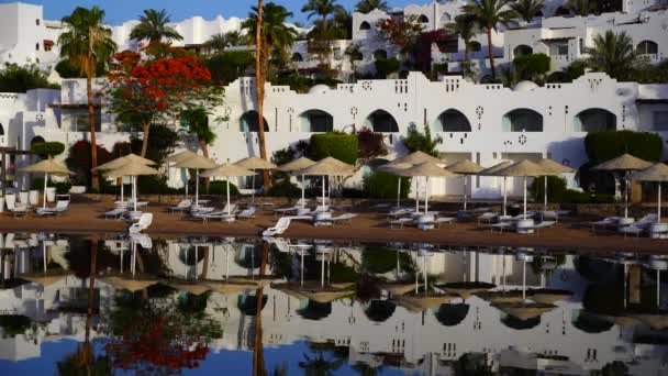 サンラウンジャー パラソルは エジプトの日の出の間にシャルム シェイクのリゾートタウンのビーチの穏やかな海の水に反映されています — ストック動画