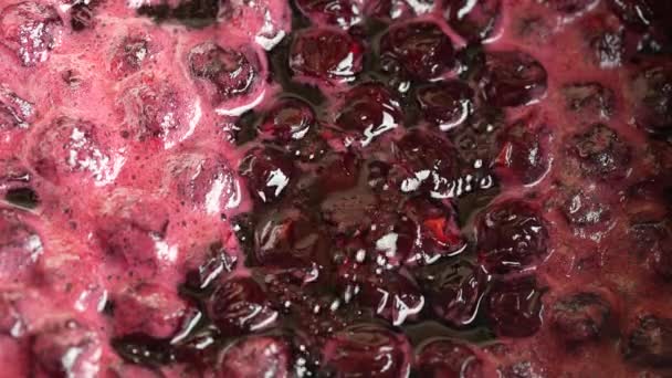 Preparation Freshly Picked Red Cherries Sugar Make Cherry Jam Close — Vídeos de Stock