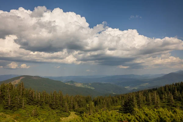 Schöne Hügellandschaft Einem Sonnigen Tag Sommer Malerische Landschaft Den Karpaten — Stockfoto