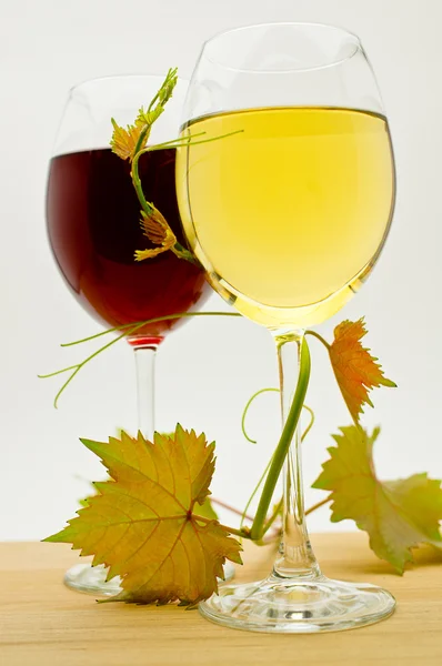 Vino — Foto Stock