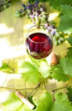 Kırmızı şarap.
